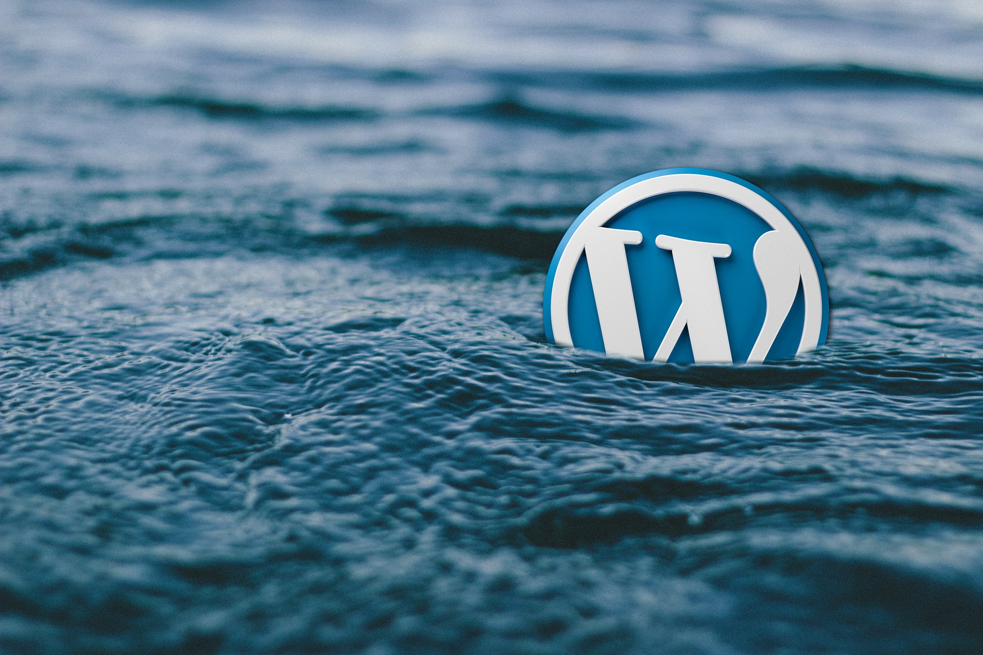 Mantenimiento WordPress